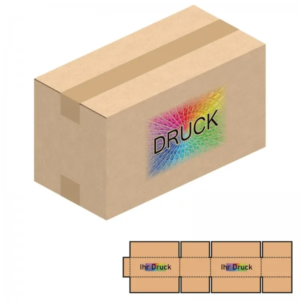 610x300x330 mm zweiwellige Kartons mit Digitaldruck