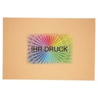 780x1180 mm Wellpapp-Zuschnitt Europalette einwellig mit Digitaldruck