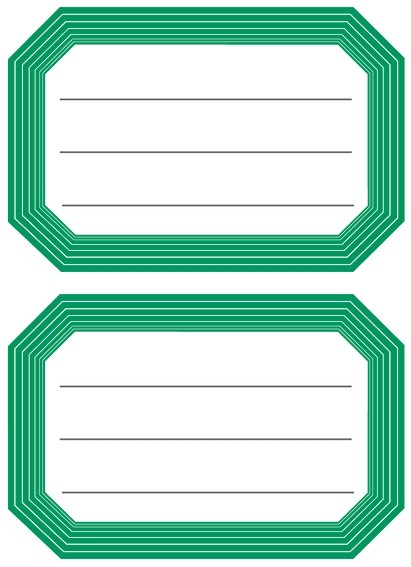 HERMA 5716 10x Schuletiketten neutral grüner Rand liniert 82x55