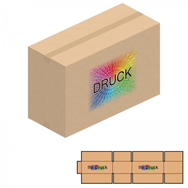 865x370x450-550 mm zweiwellige Kartons mit Digitaldruck