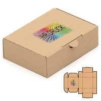 150x105x46 mm Maxibrief Karton A6 mit Digitaldruck