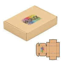 200x152x40 mm Maxibrief Karton mit Digitaldruck