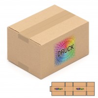 220x160x120 mm einwellige Kartons mit Digitaldruck