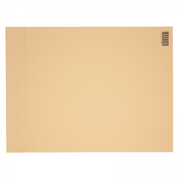 Wellpapp-Zuschnitt Kartonzuschnitt 800 x 600 mm Einwegpalette (einwellig)