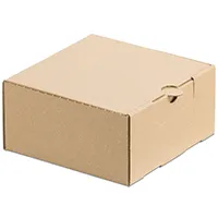DHL Kleinpaket
